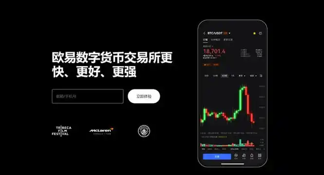 Oyi下载平台展示图